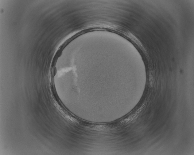 X0000081361028200702020135