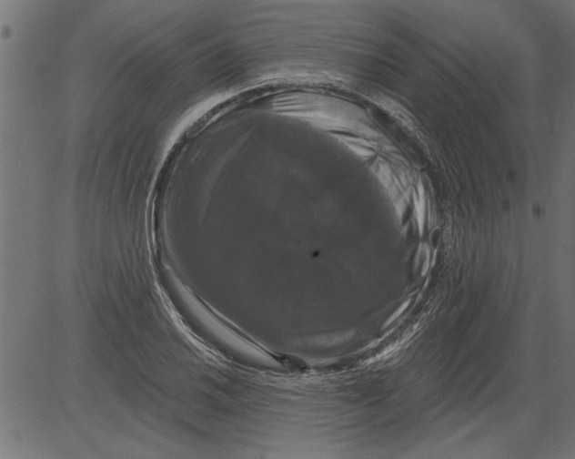 X0000081361030200702020135