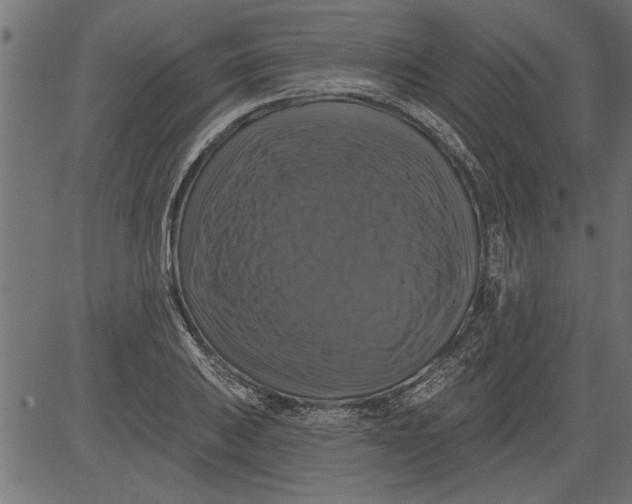 X0000081361031200702020135