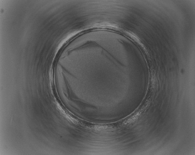 X0000081361032200702020135