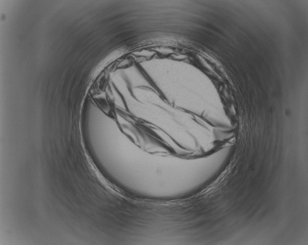 X0000081361034200702020135