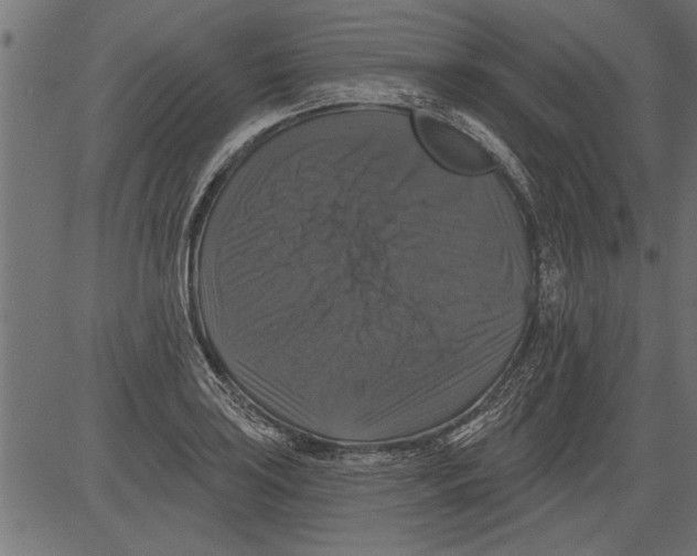 X0000081361035200702020135