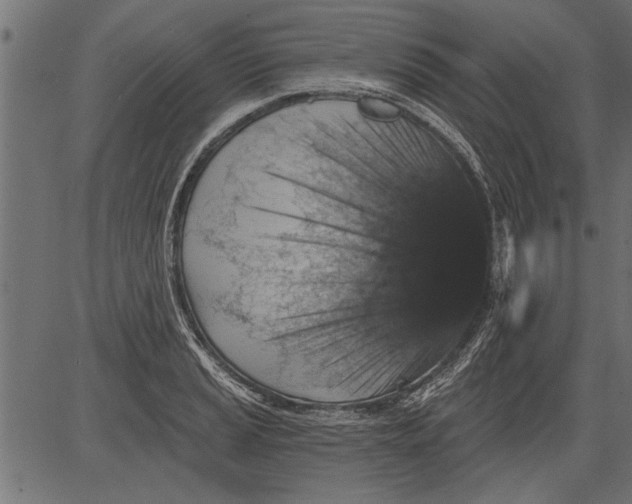 X0000081361037200702020135