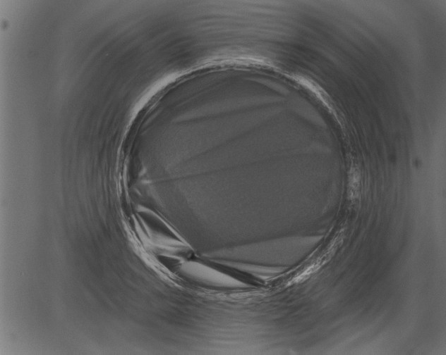 X0000081361038200702020135