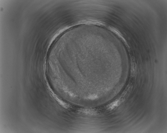 X0000081361040200702020135