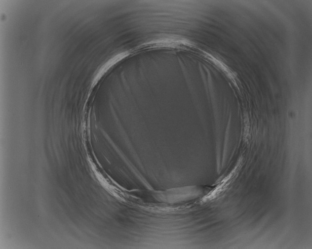 X0000081361042200702020135