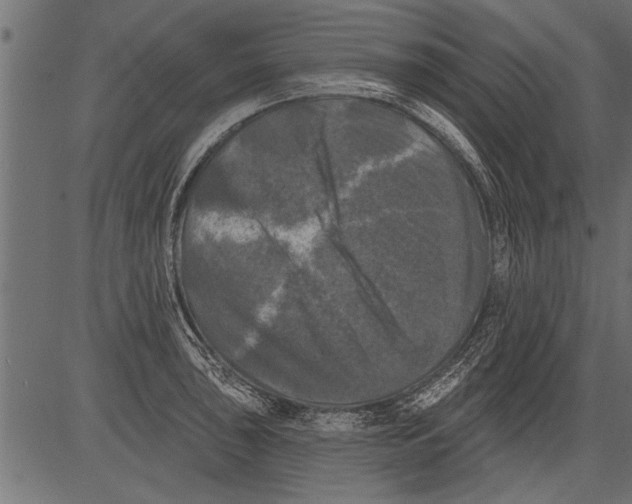 X0000081361043200702020135