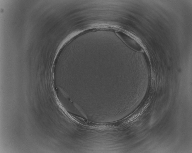 X0000081361045200702020135