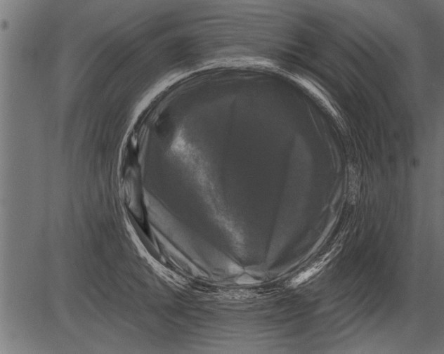 X0000081361046200702020135