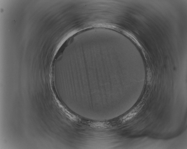 X0000081361048200702020135