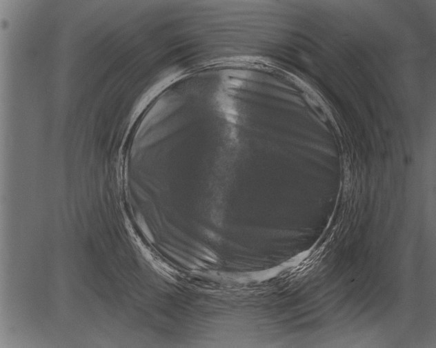 X0000081361050200702020135