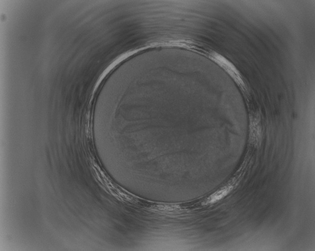 X0000081361052200702020135