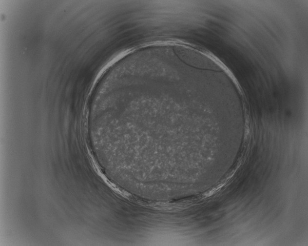 X0000081361053200702020135