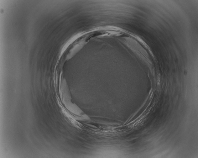 X0000081361054200702020135