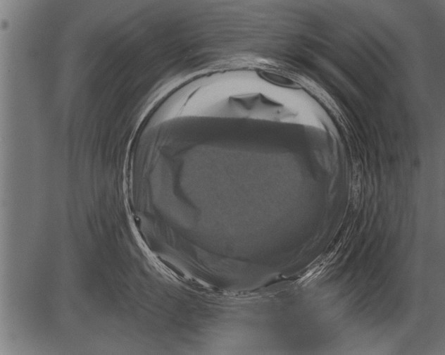 X0000081361055200702020135