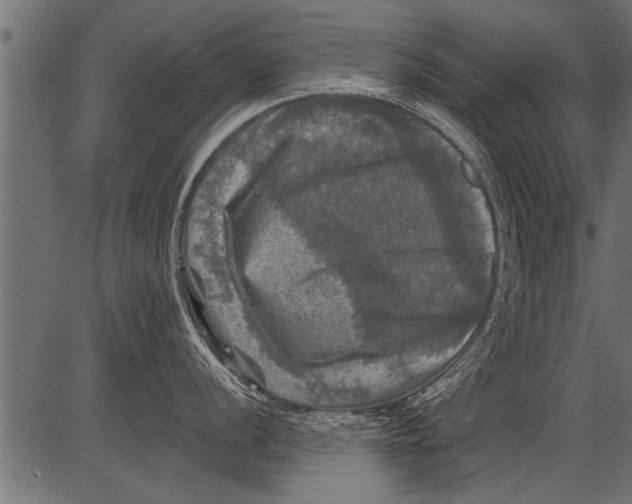 X0000081361056200702020135