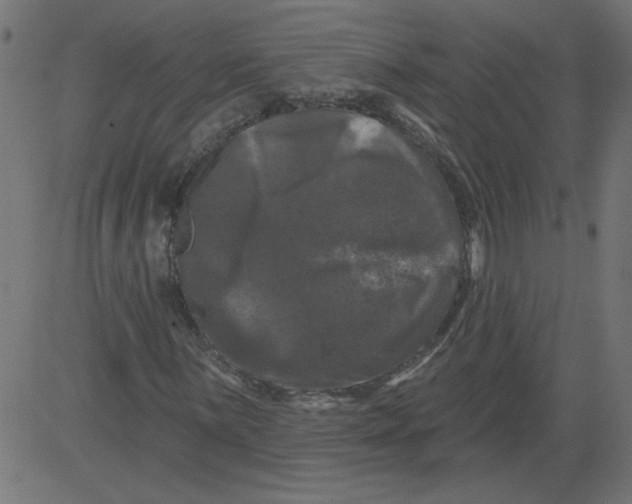 X0000081361059200702020134