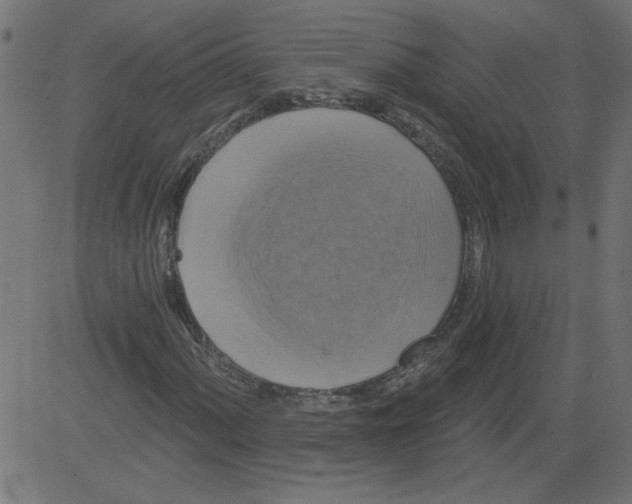 X0000081361060200702020134