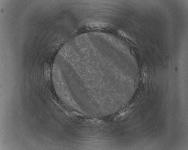 X0000081361061200702020134