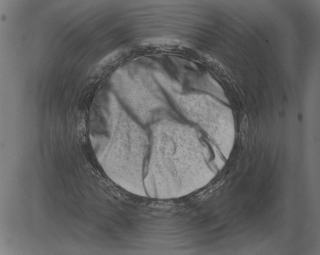 X0000081361062200702020134