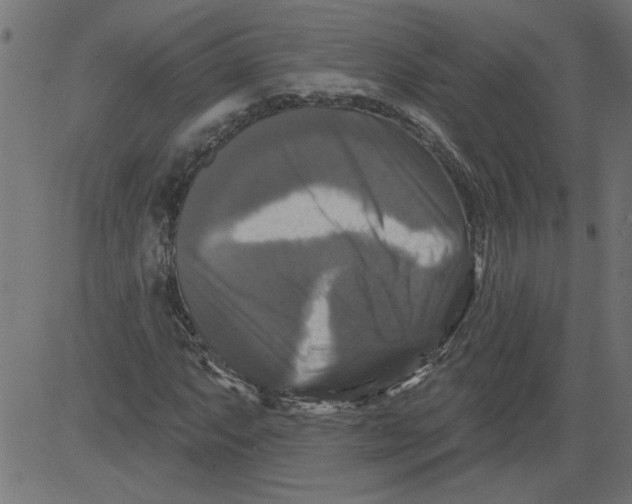 X0000081361063200702020134