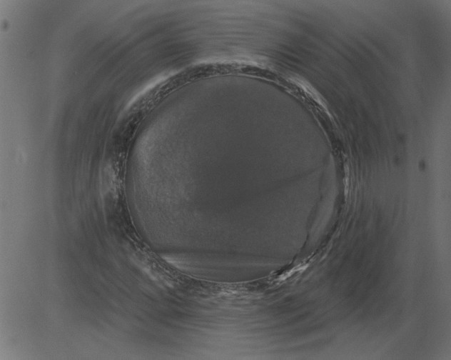 X0000081361064200702020134