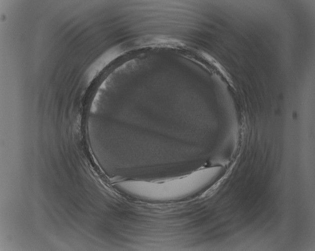 X0000081361066200702020134