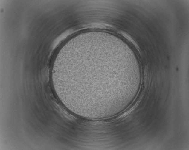 X0000081361067200702020134