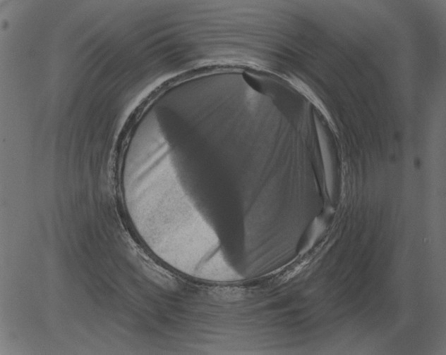 X0000081361068200702020134