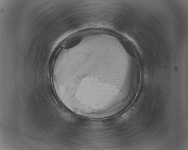 X0000081361070200702020134