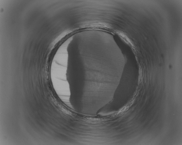 X0000081361071200702020134