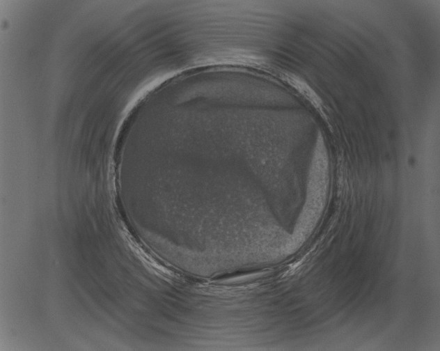 X0000081361072200702020134