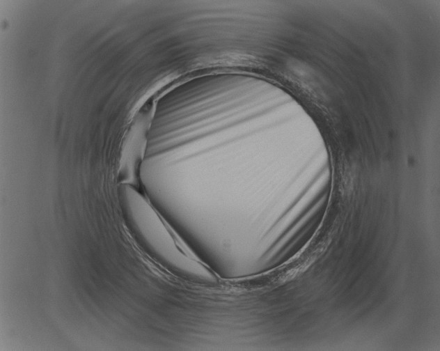 X0000081361073200702020134