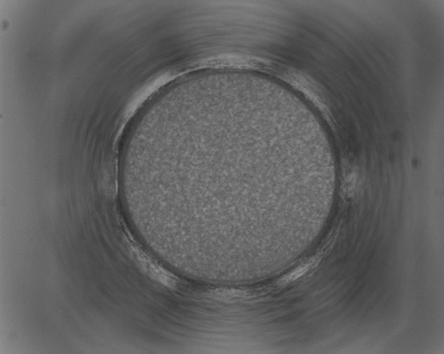 X0000081361075200702020134