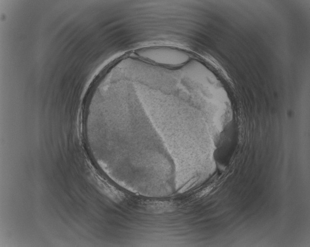 X0000081361076200702020134