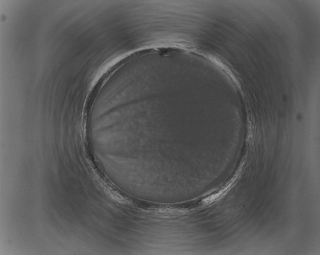 X0000081361077200702020134