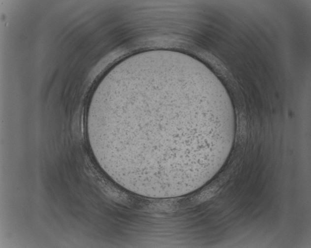 X0000081361078200702020134