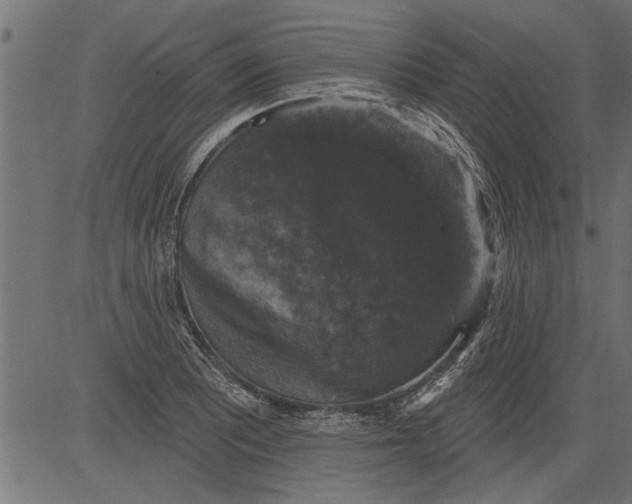 X0000081361081200702020134