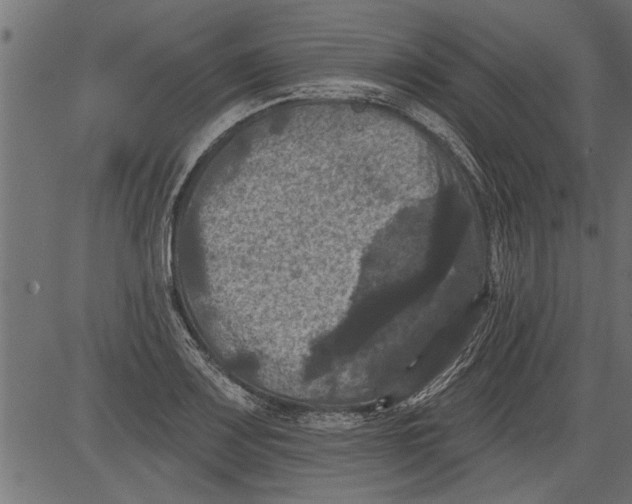 X0000081361083200702020134