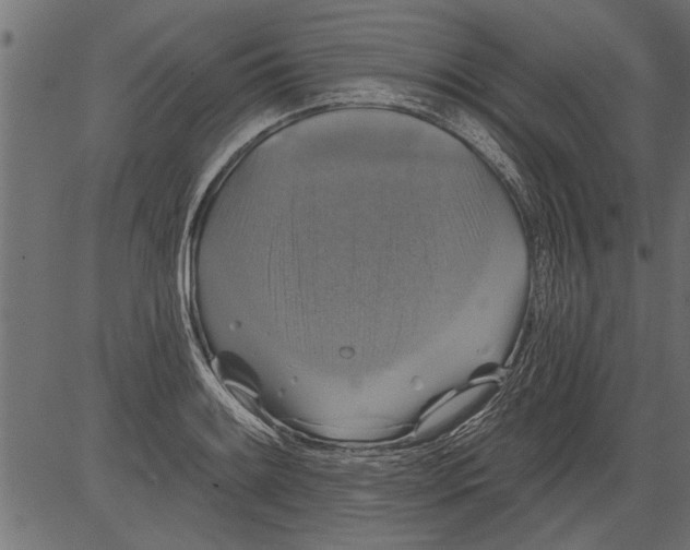 X0000081361084200702020134