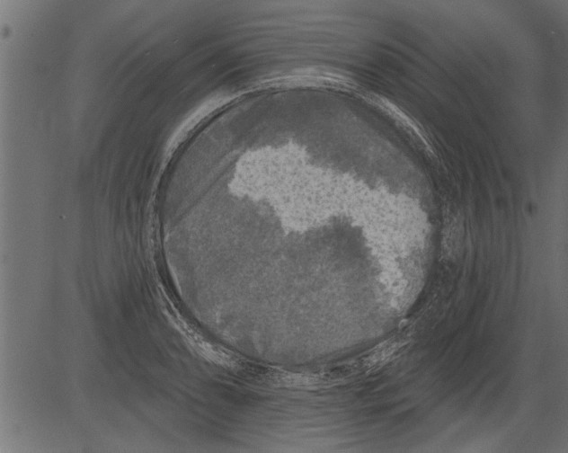 X0000081361086200702020134