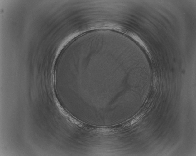 X0000081361088200702020134