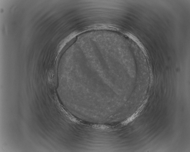 X0000081361089200702020134