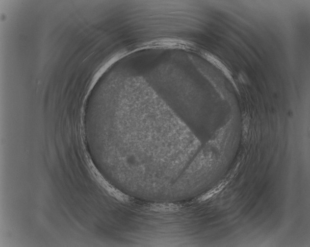 X0000081361091200702020134