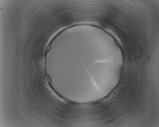 X0000081361092200702020134