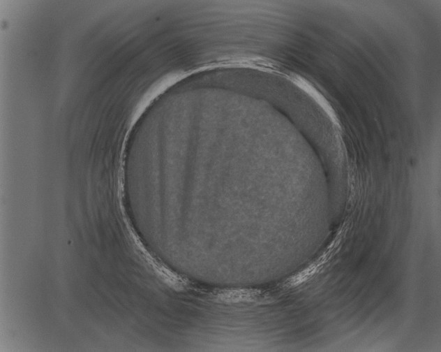 X0000081361093200702020134