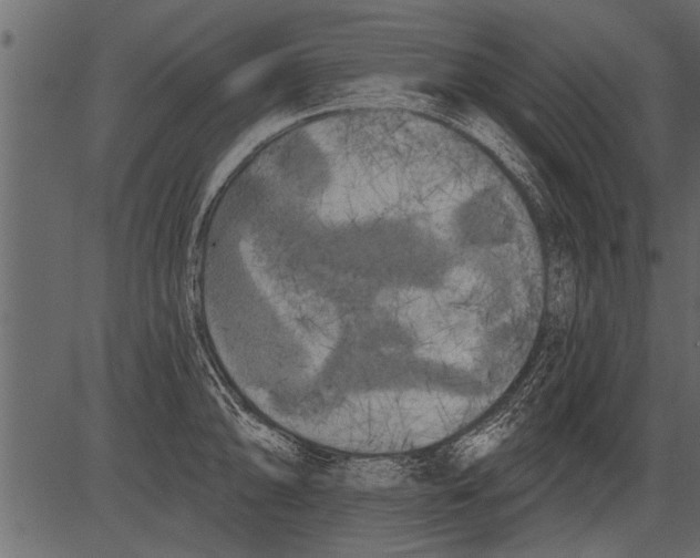 X0000081361094200702020134