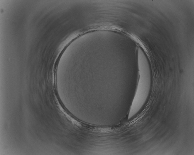 X0000081361095200702020134