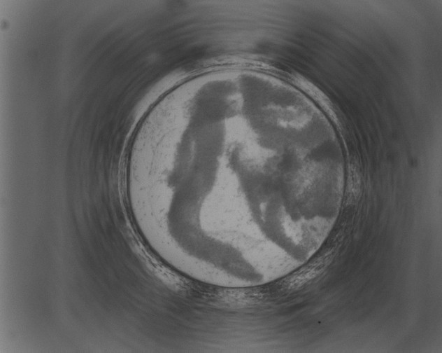 X0000081361098200702020134