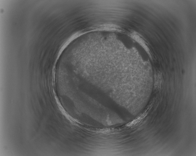 X0000081361099200702020134